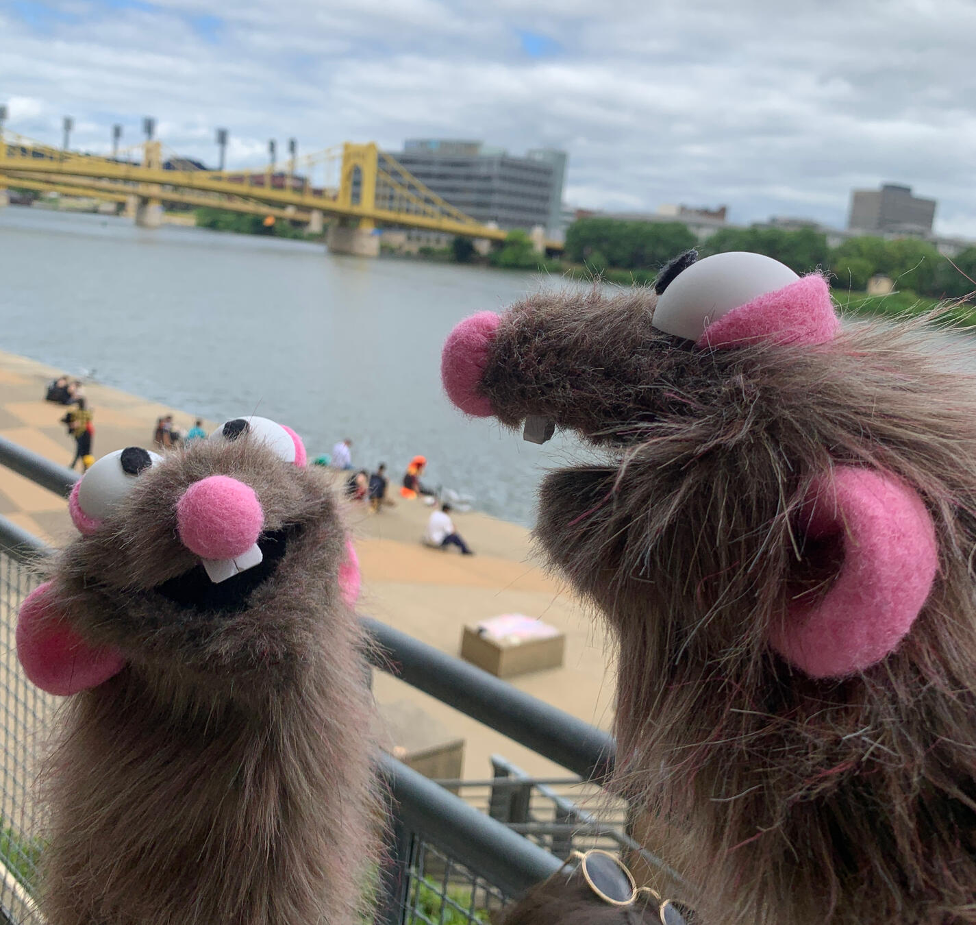 Photo of 2 rat puppets