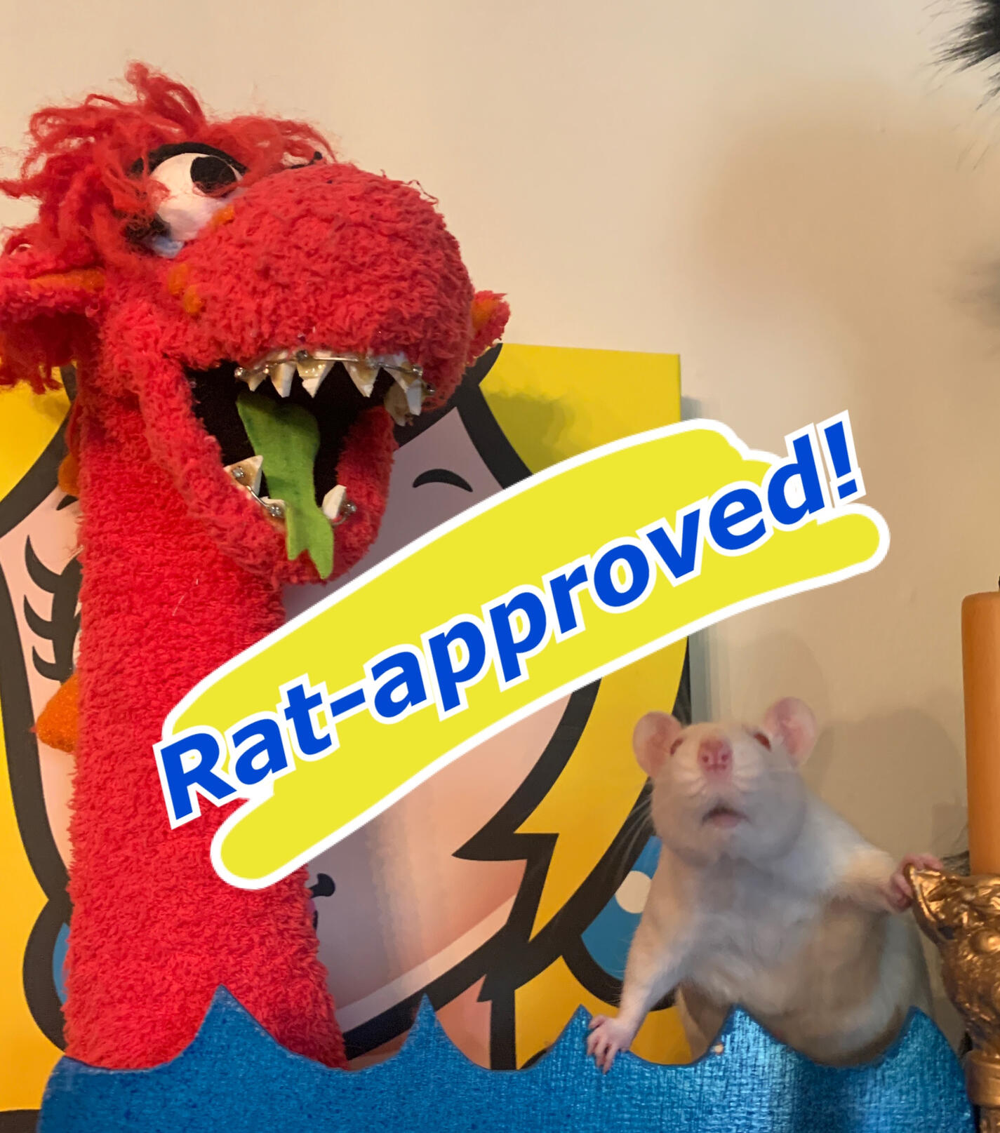 Ricotta approved Photo of a pet rat and a puppet