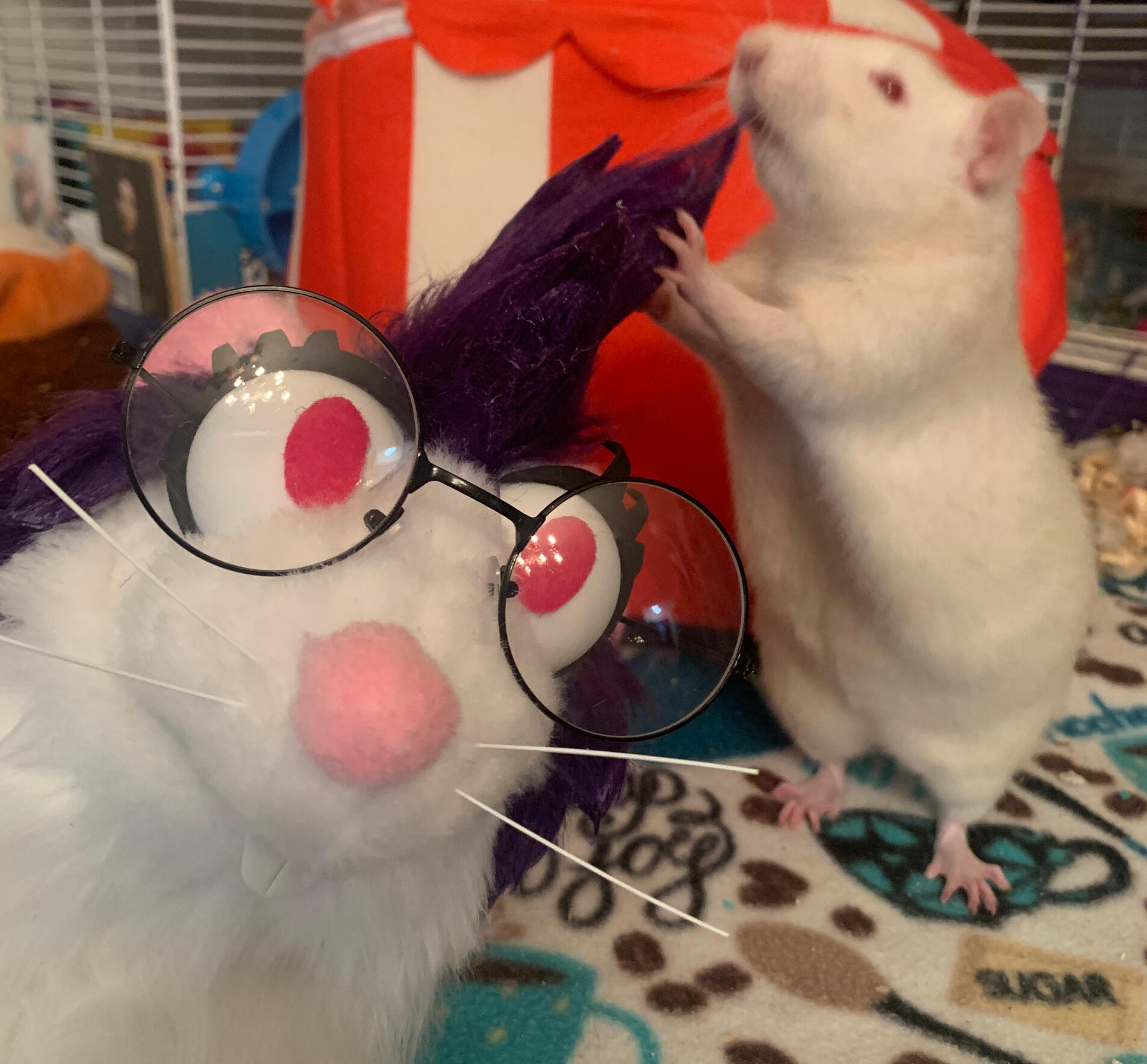 Photo of a pet rat and rat puppet