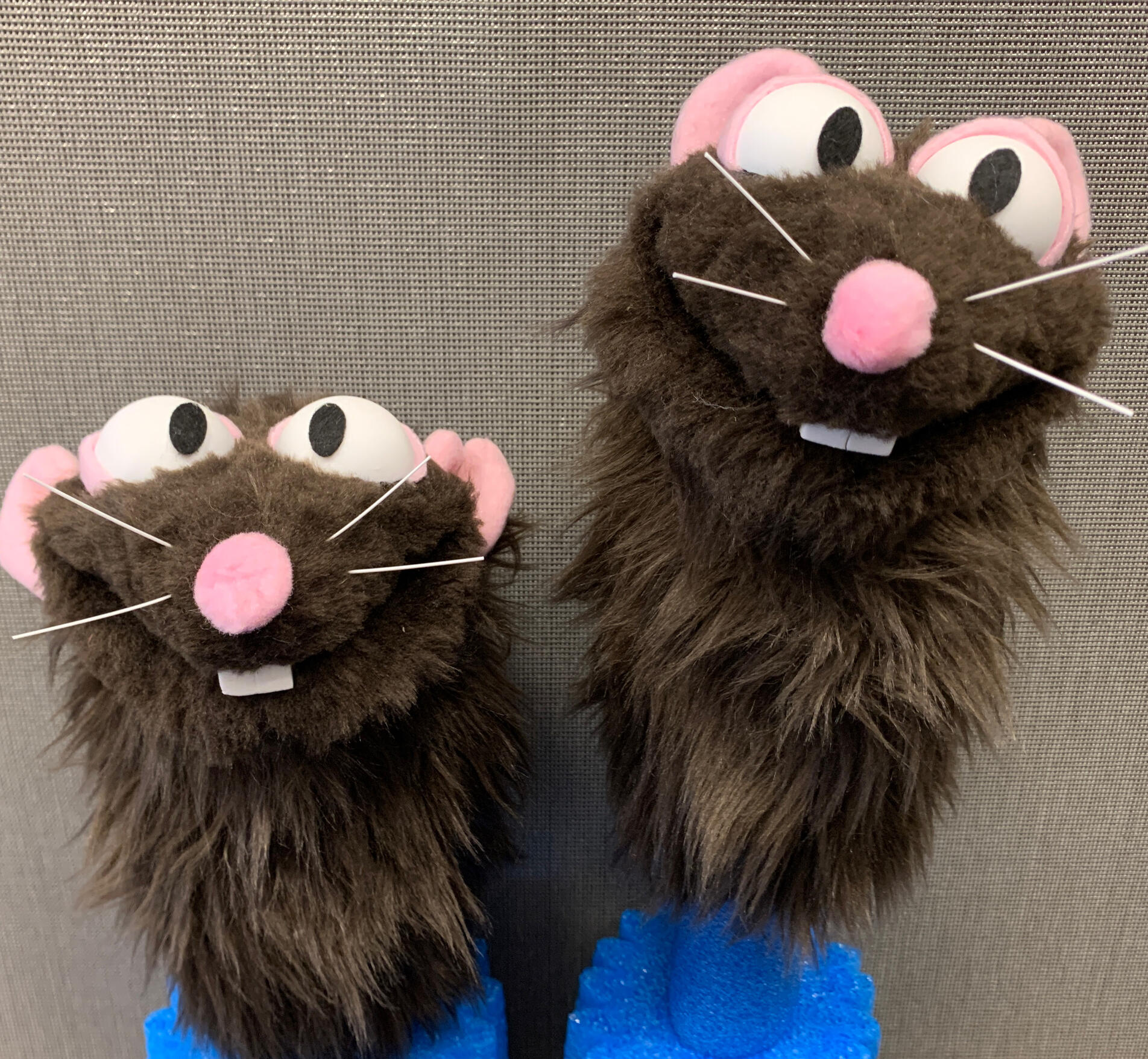 Photo of 2 brown rat puppets