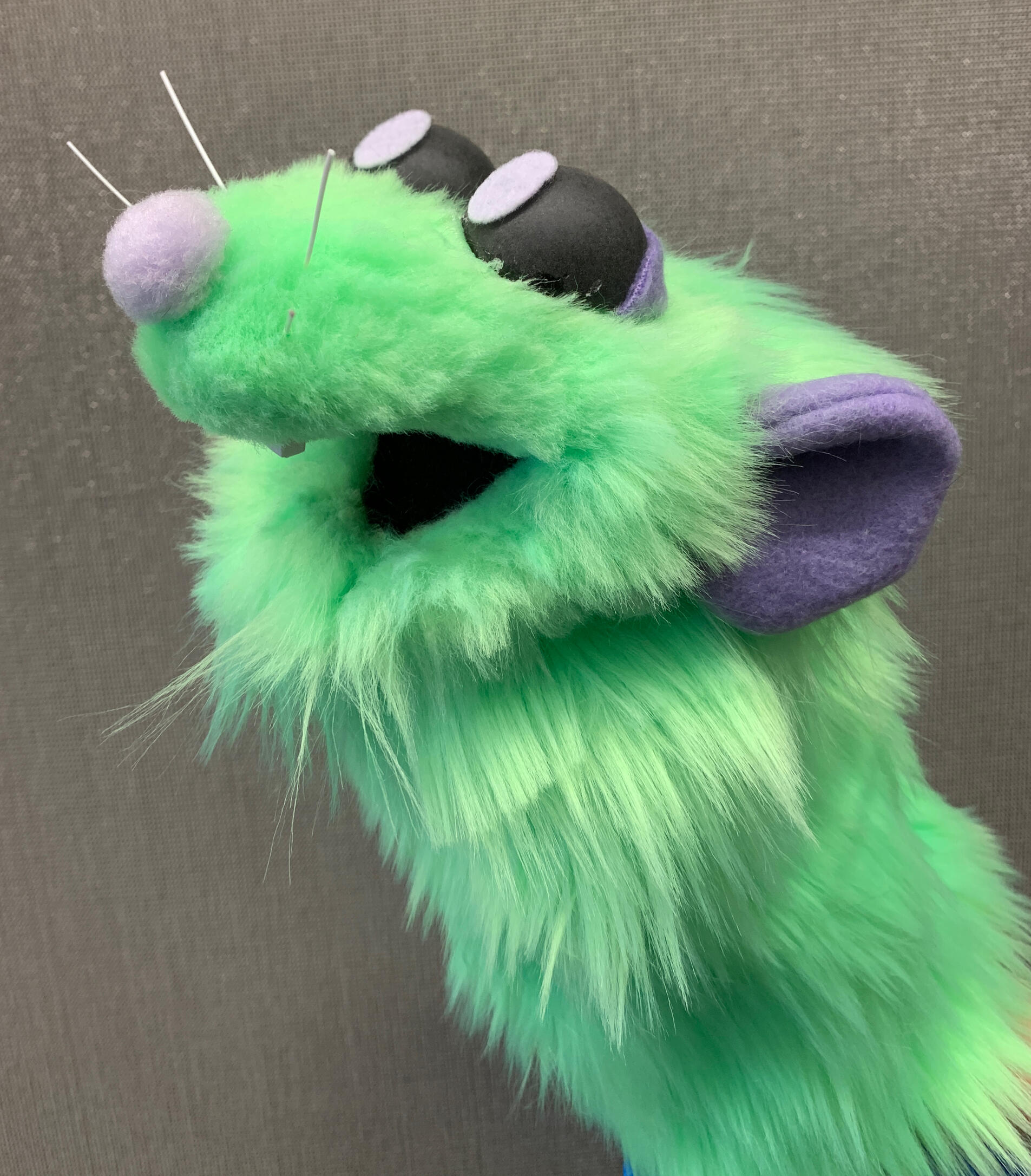 Photo of a rat puppet