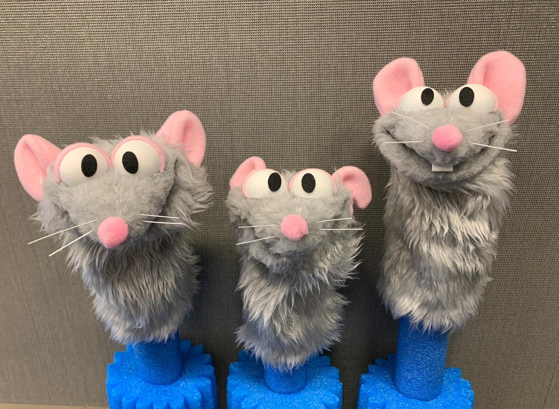Photo of 3 rat puppets