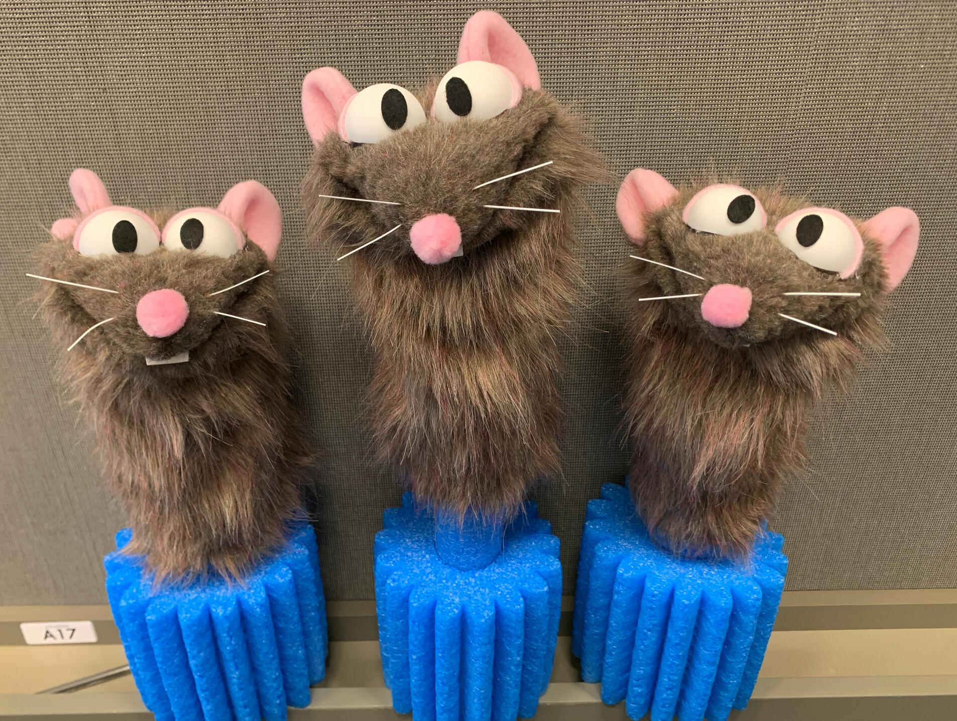 Photo of 3 rat puppets