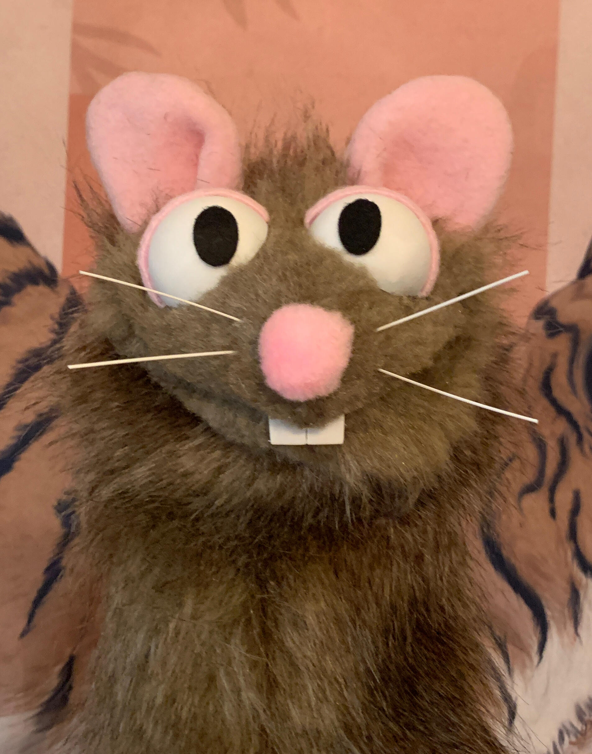 Photo of a rat puppet