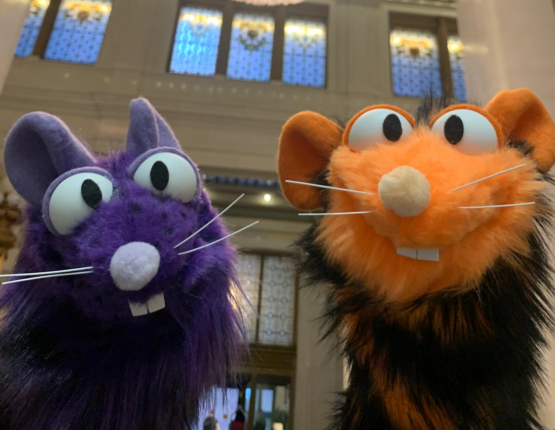 Photo of 2 rat puppets